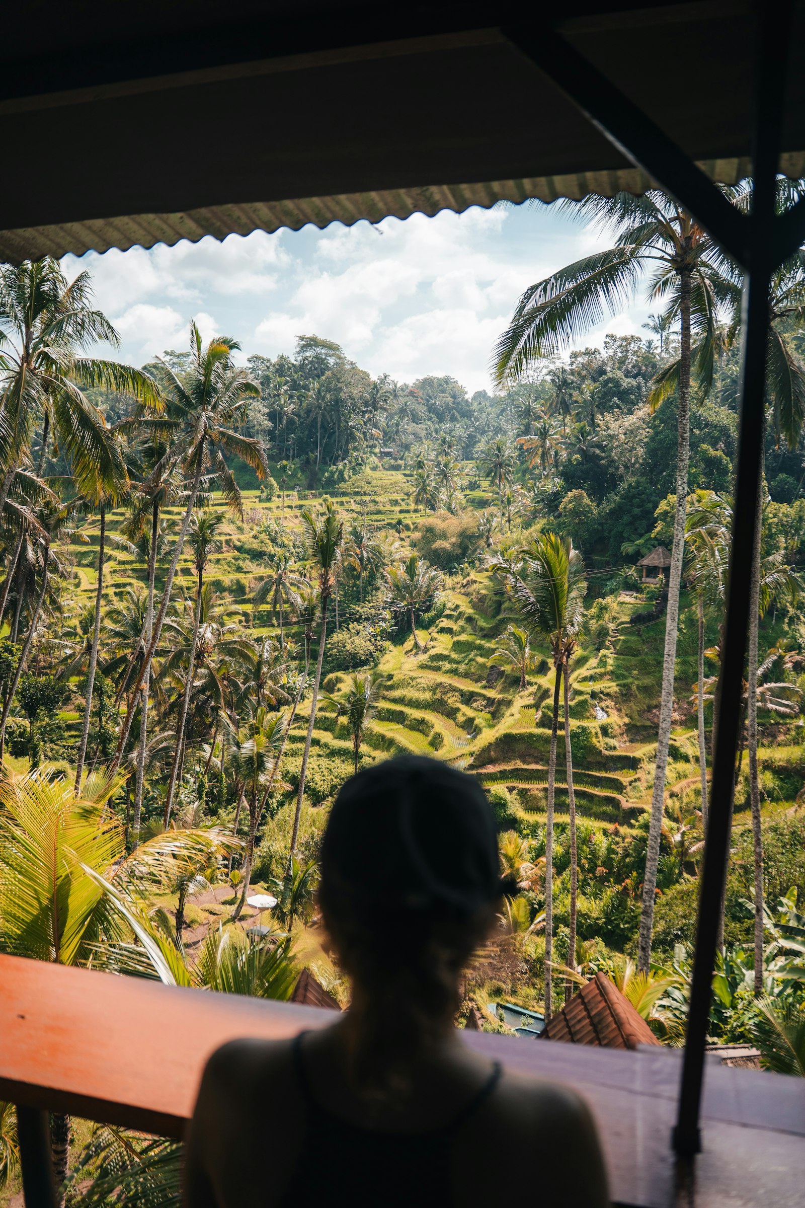 Traveler overlooking the rice terraces in Bali.