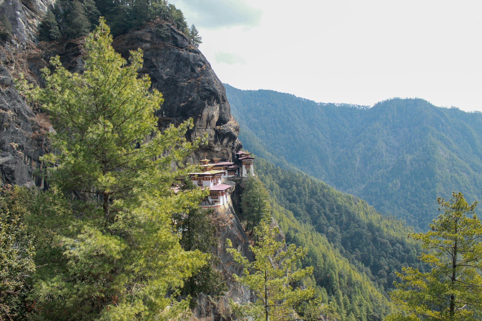 Bhutan cliffside monastery surrounded by forested mountains.