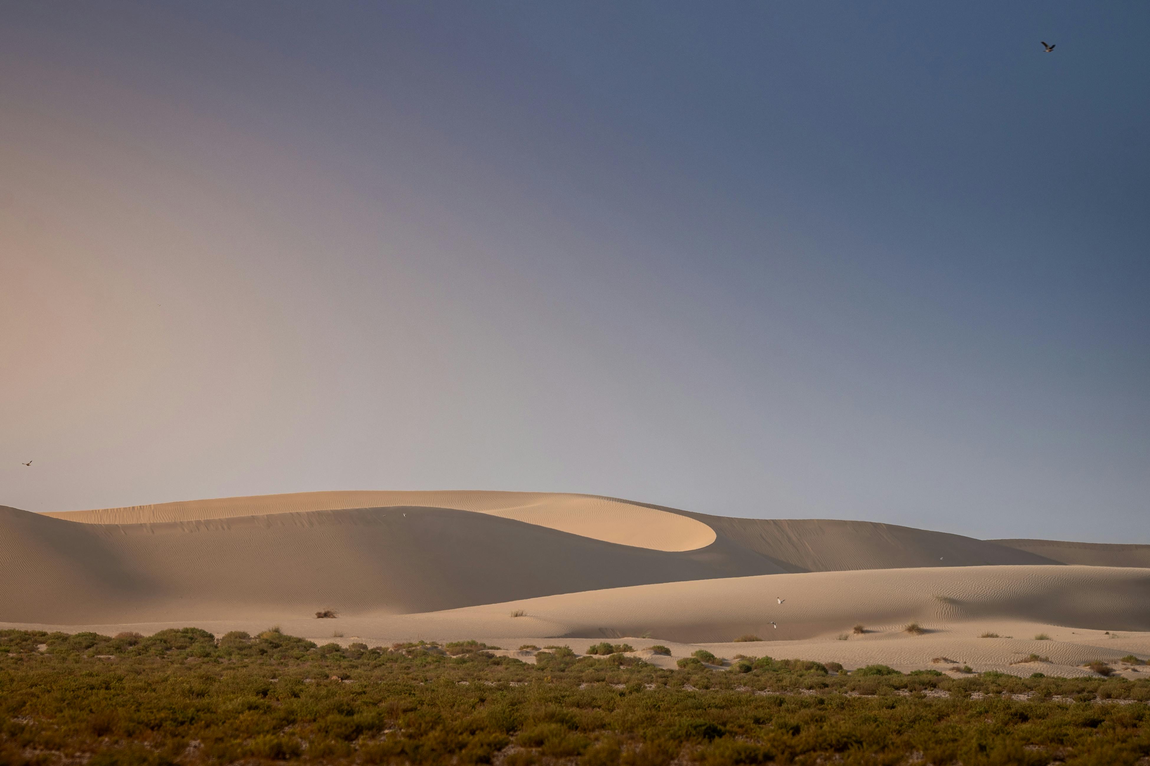 Sweeping desert dunes near Dubai.